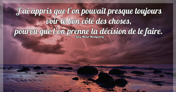 Aperçu de la carte : « J'ai appris que l'on pouvait presque toujours voir le bon côté des choses... »
