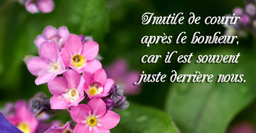 Aperçu de la carte : « Inutile de courir après le bonheur, il est souvent juste derrière nous... »