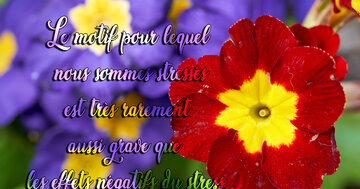 Aperçu de la carte : « Le motif pour lequel nous sommes stressés est très rarement aussi grave... »