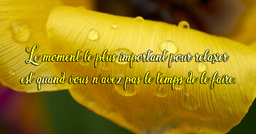 Aperçu de la carte : « Le moment le plus important pour relaxer... »