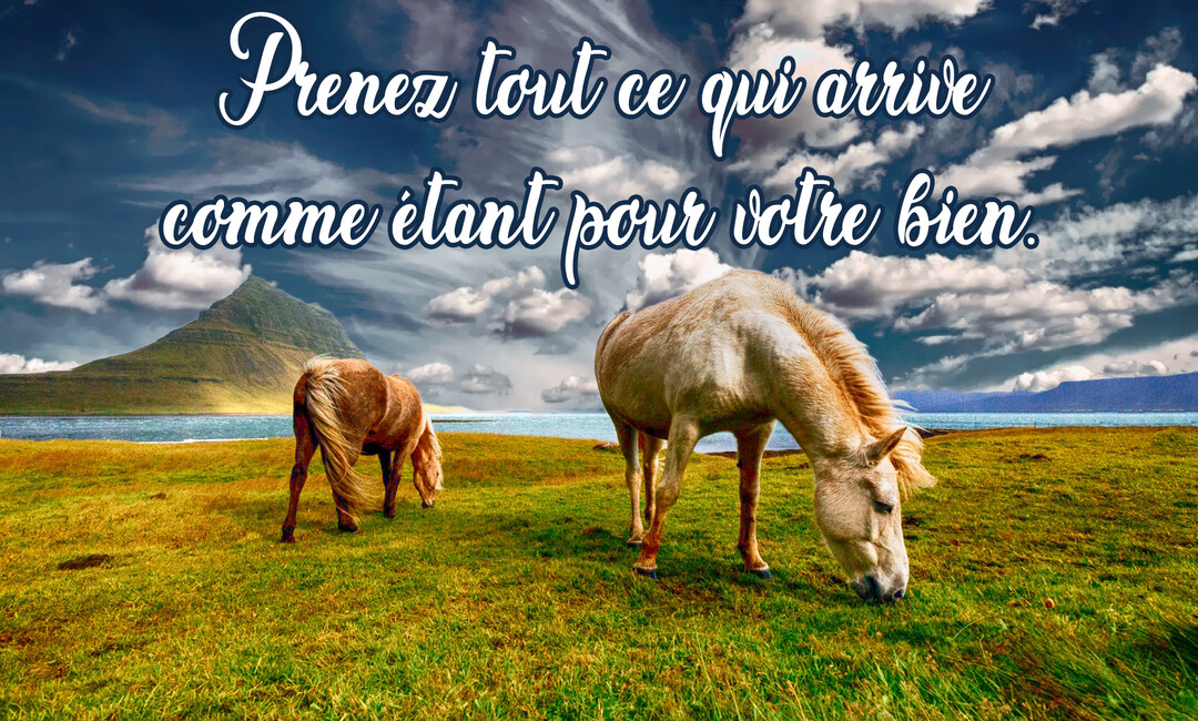 Deux chevaux broutent paisiblement dans un vaste champ vert, avec un lac et une montagne majestueuse sous un ciel nuageux.