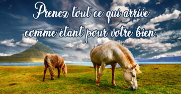 Aperçu de la carte : Prenez tout ce qui arrive 
comme étant pour votre bien..