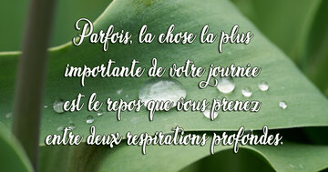 Aperçu de la carte : « La chose la plus importante est le repos que vous prenez entre deux respirations... »