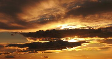 Aperçu de la carte : « Il n'y a qu'une route vers le bonheur, c'est de renoncer aux choses... »