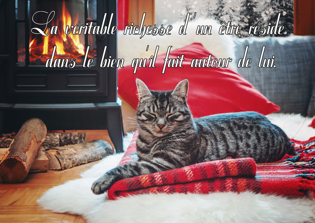 Un chat tigré gris dort paisiblement sur une couverture à carreaux rouge, à côté d'un poêle à bois noir avec un feu crépitant.