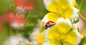 Aperçu de la carte : C 'est par 
le bien-faire 
que se crée 
le bien-être.