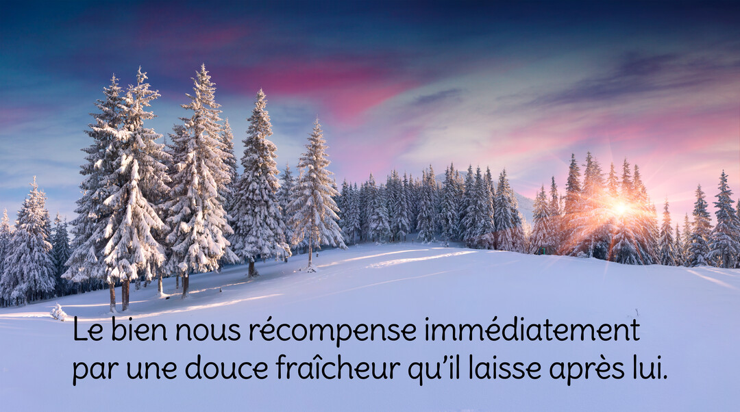 Un paysage hivernal serein montrant une forêt de sapins chargés de neige sous un ciel aux teintes roses et bleues d'un soleil levant.