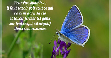 Aperçu de la carte : « Pour être optimiste, il faut savoir voir ce qui va bien dans sa vie... »