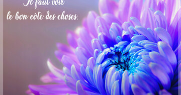 Aperçu de la carte : Il faut voir 
le bon côté des choses !