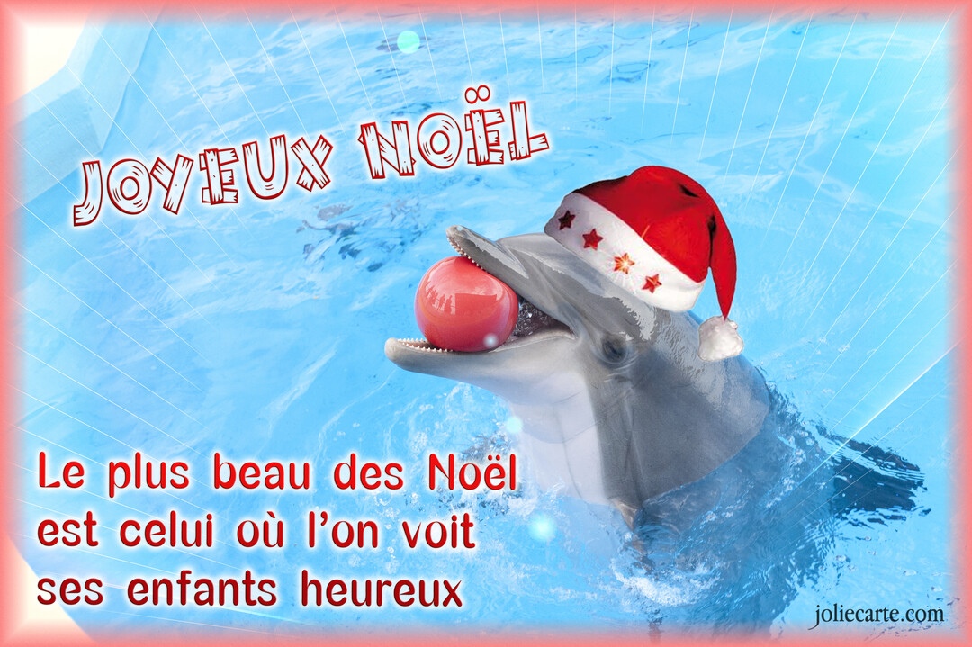 Un dauphin souriant dans une eau bleue cristalline porte un bonnet de Noël et tient une boule rouge brillante dans sa bouche.