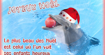 Aperçu de la carte : « Le plus beau des Noël est de voir ses enfants heureux... »