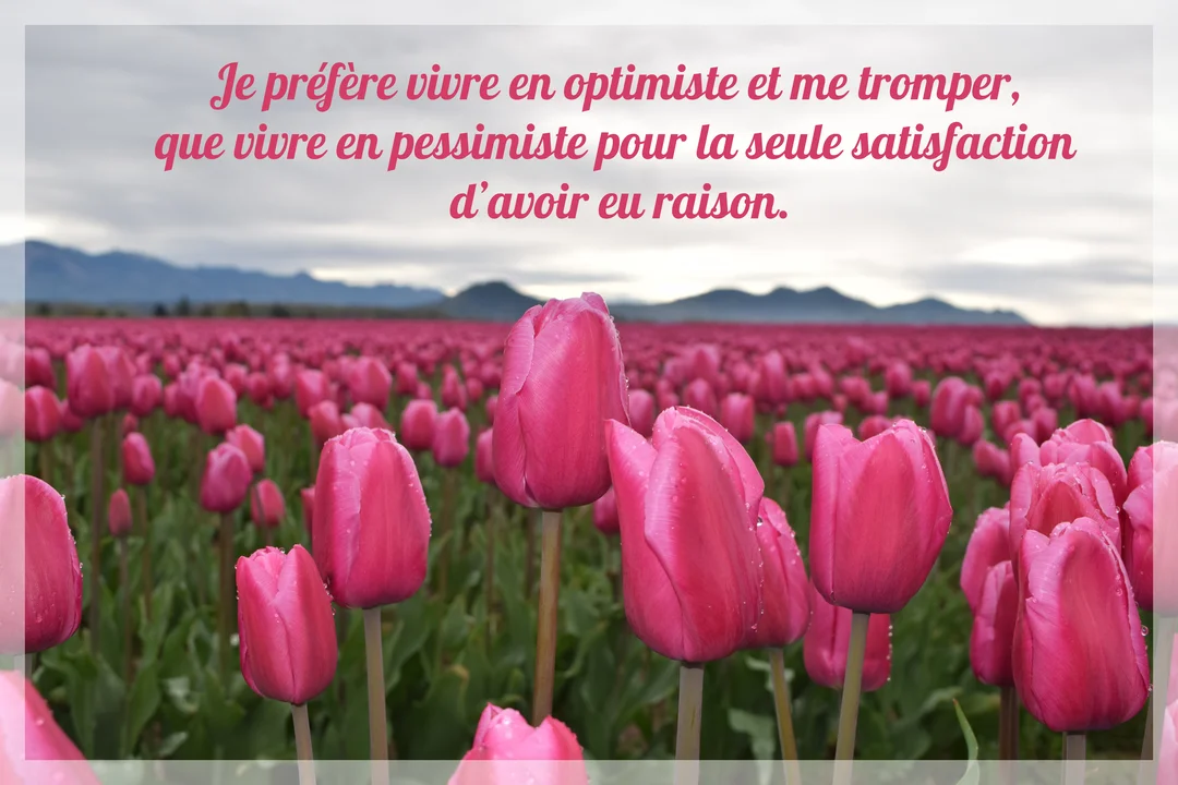 Un champ de tulipes roses sous un ciel couvert, avec une chaîne de montagnes au loin et une citation sur l'optimisme superposée.