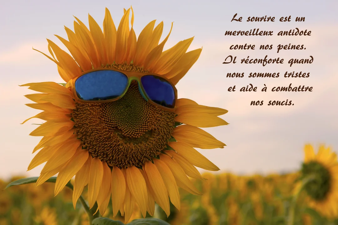 Un tournesol personnifié, avec des lunettes de soleil et un sourire malicieux, se détache d'un champ flou sous un ciel clair et doux.