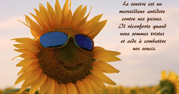 Aperçu de la carte : « Le sourire est un merveilleux antidote contre nos peines, il réconforte et aide... »