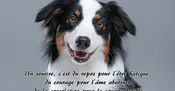 Aperçu de la carte : « Un sourire, c'est du repos pour l'être fatigué, du courage pour l'âme abattue... »