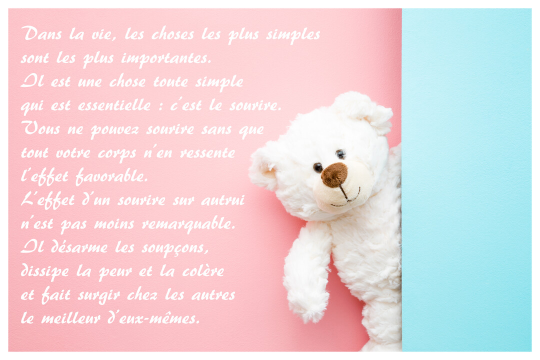 Un ours en peluche blanc et souriant se cache partiellement derrière un aplat bleu, sur fond rose où est inscrite une citation.