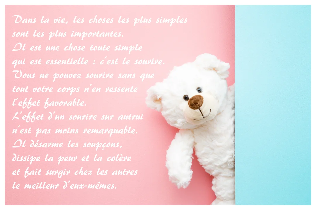 Un ours en peluche blanc et souriant se cache partiellement derrière un aplat bleu, sur fond rose où est inscrite une citation.