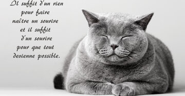 Aperçu de la carte : « Il suffit d'un rien pour faire naître un sourire... »