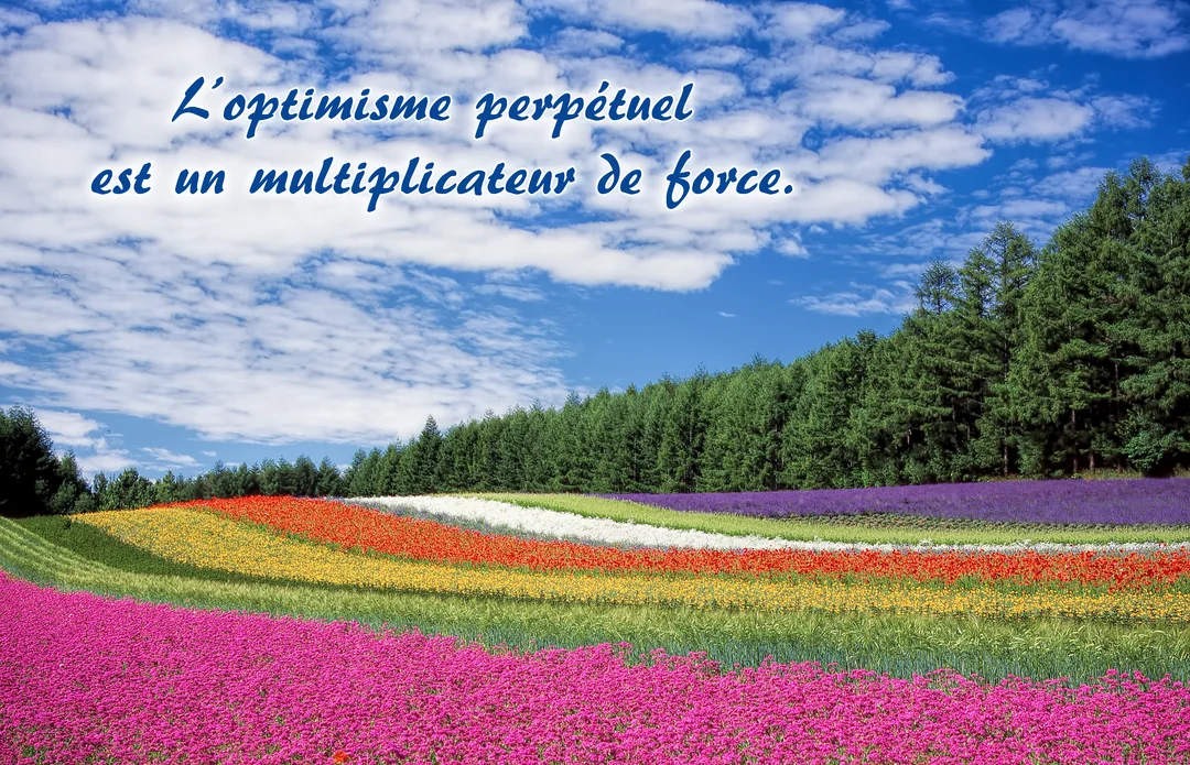 Un paysage vibrant montrant des rangées de fleurs colorées devant une forêt, sous un ciel bleu, avec une citation sur la force de l'optimisme.