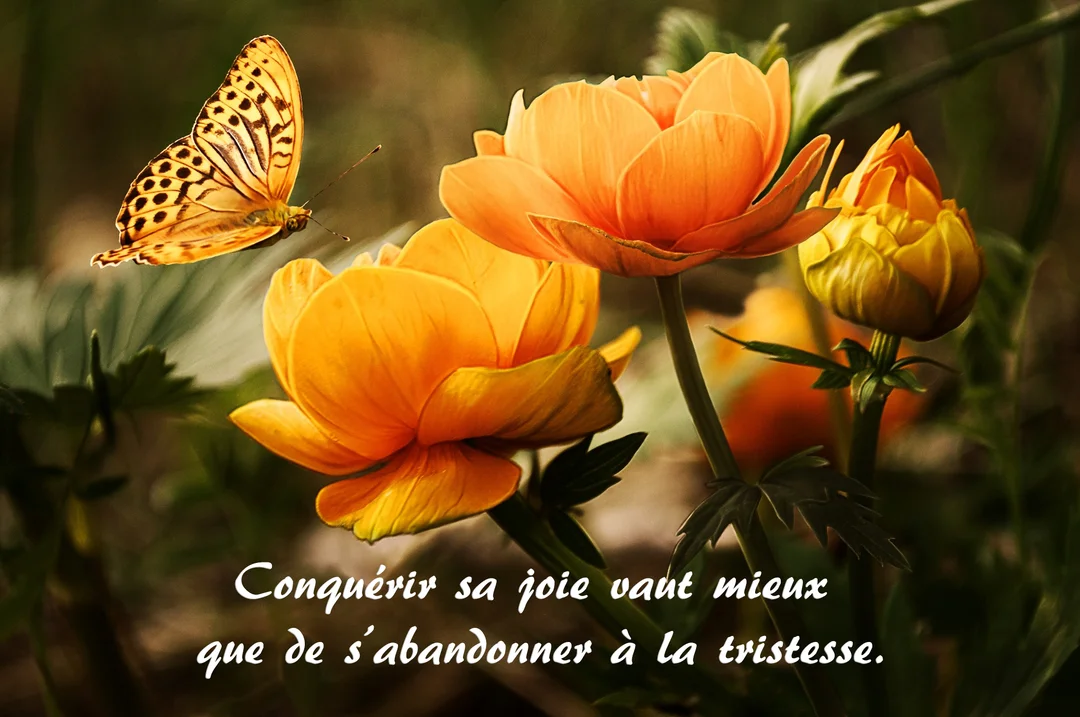 Un papillon aux ailes orangées et tachetées de noir vole vers des fleurs ressemblant à des boutons d'or, sur un fond végétal verdoyant.