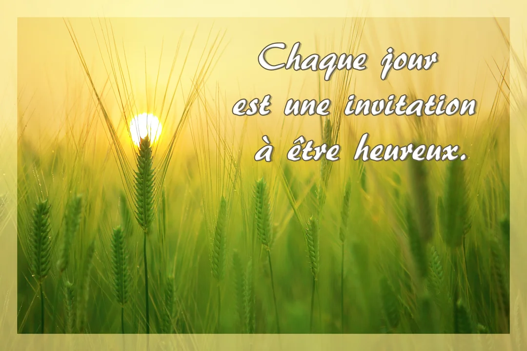 Un champ d'épis de blé verts est baigné par la lumière dorée d'un soleil levant, avec une citation inspirante sur le bonheur.
