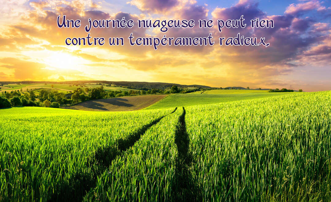 Un champ d'herbe verte luxuriante s'étend vers des collines sous un ciel dramatique où le soleil doré perce à travers les nuages.