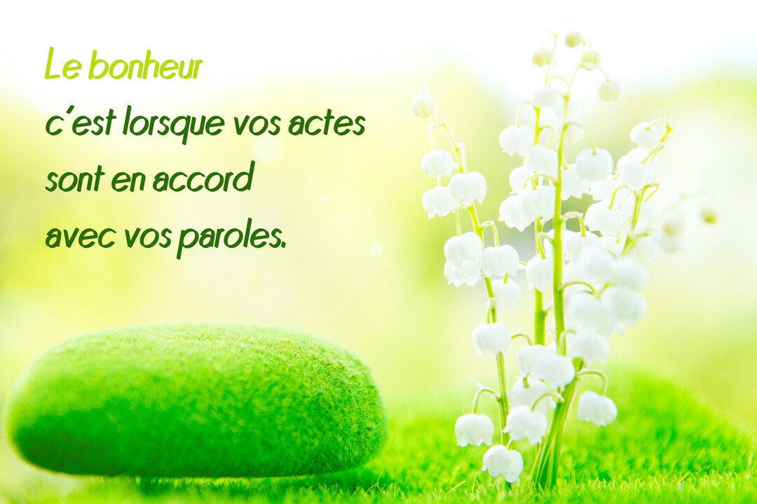 Une composition photographique montrant un brin de muguet blanc à côté d'une pierre moussue verte, sur un fond naturel et lumineux.