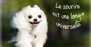 Aperçu de la carte : Le sourire est une langue universelle.