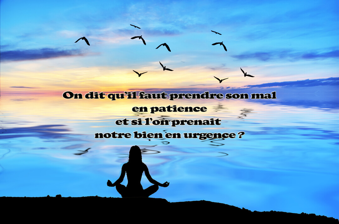 Au crépuscule, la silhouette d'une femme médite face à un plan d'eau calme, sous un ciel où volent des oiseaux.