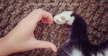 Aperçu de la carte : « Les plus belles choses de la vie se ressentent dans le coeur... »