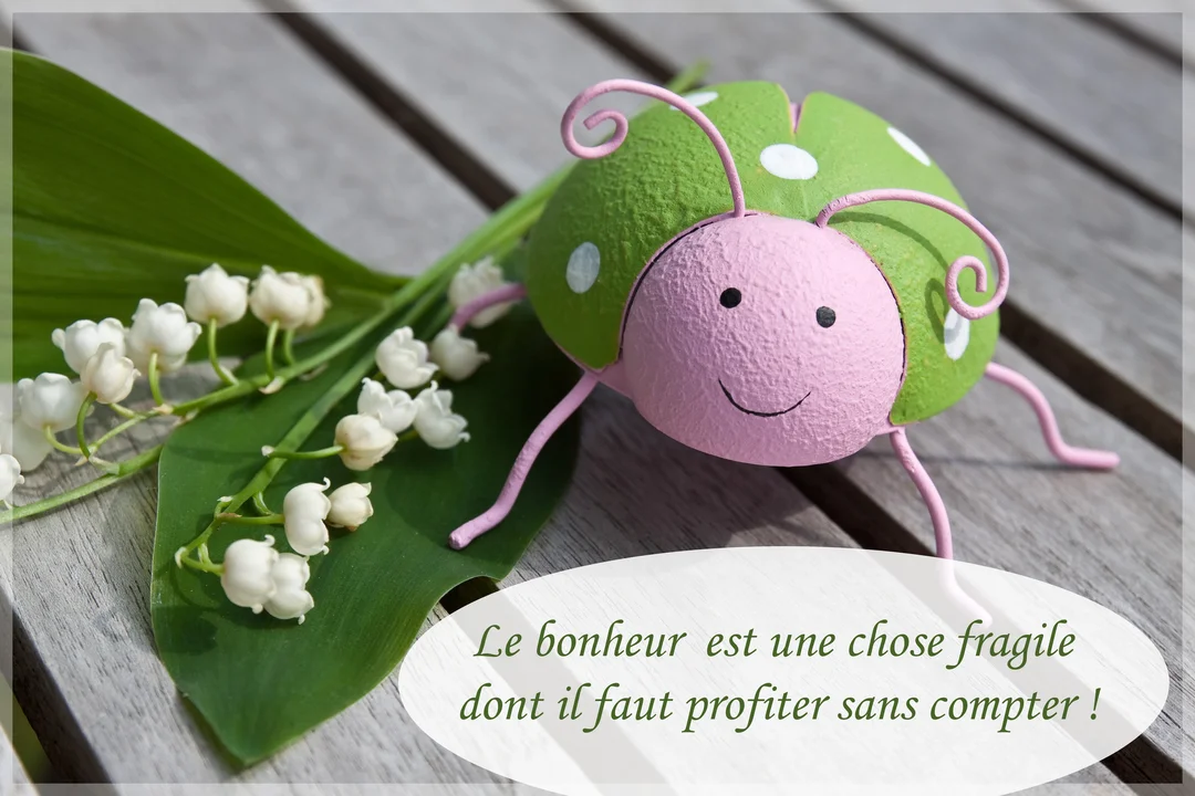 Sur une table en bois, une figurine de coccinelle souriante est posée à côté d'un brin de muguet en fleur avec une citation.