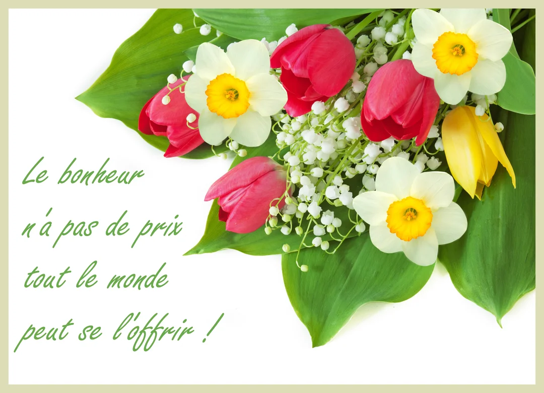 Un bouquet coloré de tulipes rouges, de narcisses blancs et jaunes, et de muguet est disposé sur un fond blanc uni.