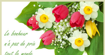 Aperçu de la carte : « Le bonheur n'a pas de prix, tout le monde peut se l'offrir... »