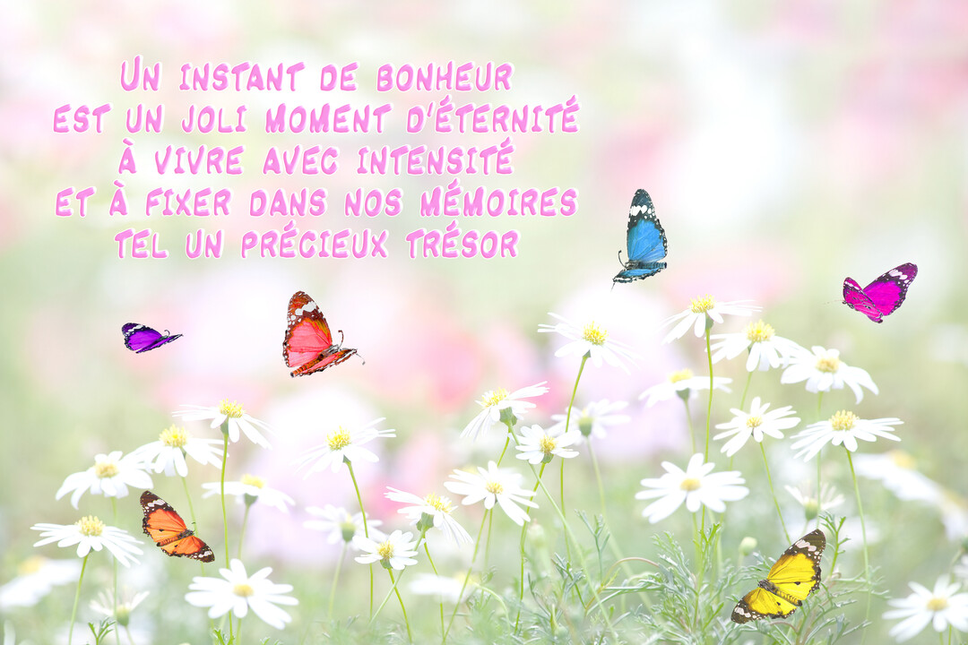 Une scène printanière avec des papillons de toutes les couleurs volant au-dessus de marguerites blanches, surmontée d'un texte poétique rose sur le bonheur.