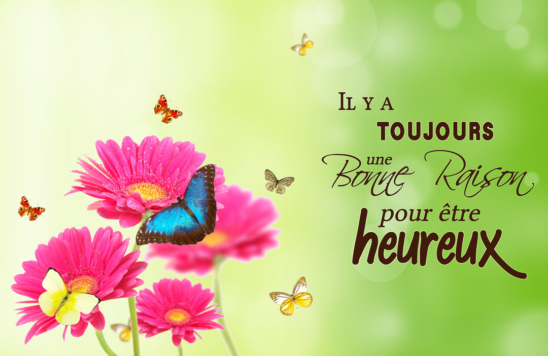 Une scène printanière éclatante avec des fleurs de gerbera rose vif et des papillons multicolores sur un fond vert pastel, illustrant une citation inspirante sur le bonheur.