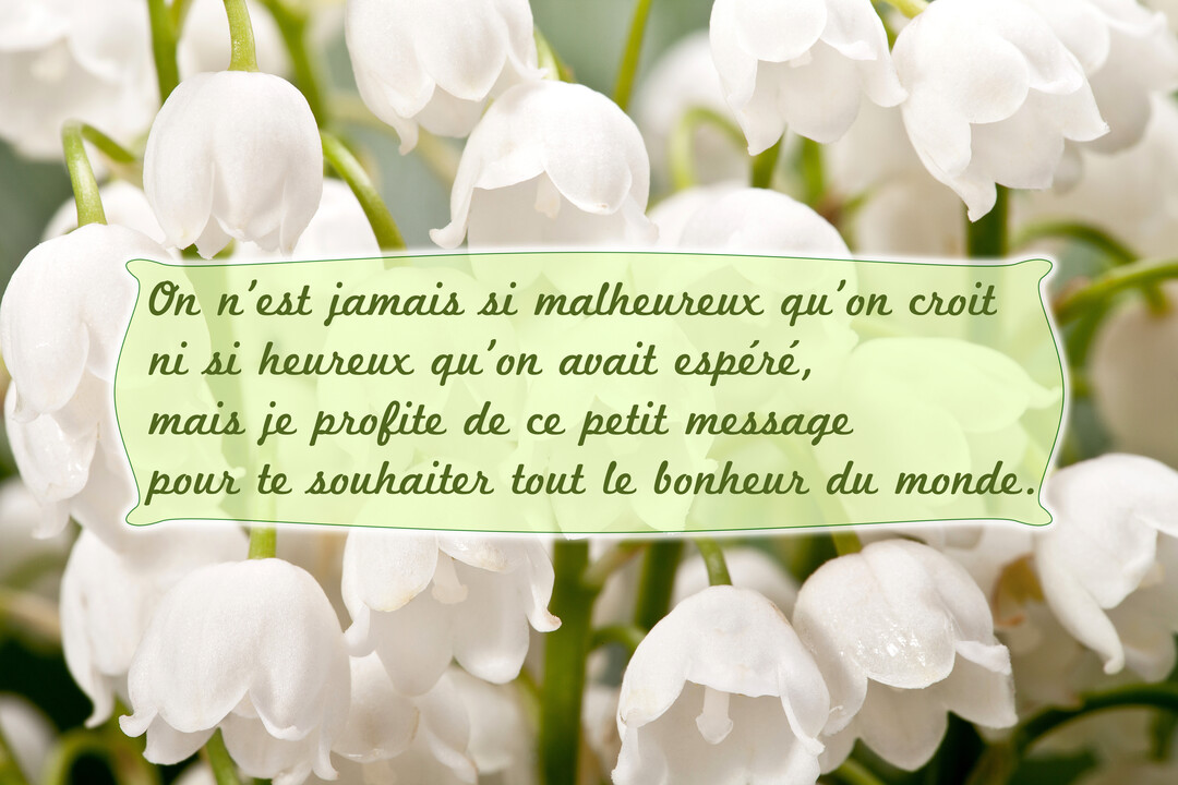 Gros plan sur des clochettes de muguet blanc sur fond vert, avec une citation sur le bonheur superposée au centre.