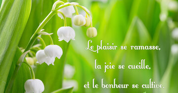 Aperçu de la carte : « Le plaisir se ramasse, la joie se cueille et le bonheur se cultive... »