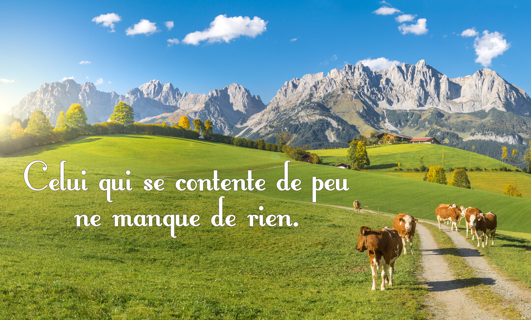Un troupeau de vaches suit un sentier dans une prairie verdoyante, dominée par une chaîne de montagnes sous un ciel bleu.