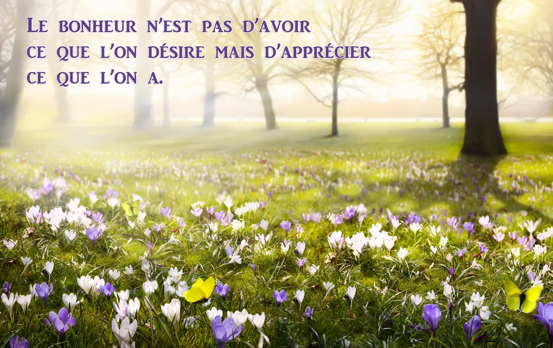 Une prairie verdoyante parsemée de crocus blancs et violets, avec des arbres en arrière-plan sous une lumière solaire douce et diffuse.