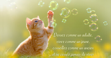 Aperçu de la carte : « Ce que l'on réprime s'imprime, ce à quoi l'on résiste persiste, mais ce à quoi... »