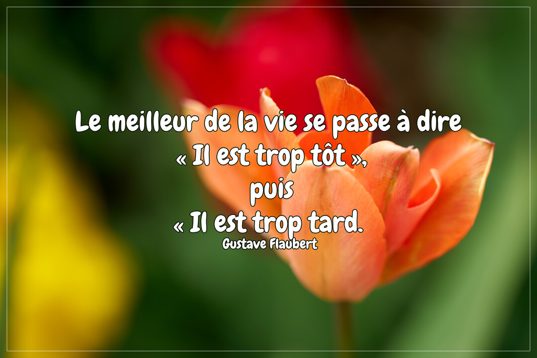 Une citation de Gustave Flaubert est superposée sur la photo macro d'une tulipe orange aux pétales délicats, avec un arrière-plan végétal vert flouté.