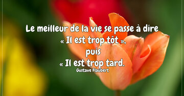 Aperçu de la carte : « Le meilleur de la vie se passe à dire 'Il est trop tôt', puis 'trop tard'... »