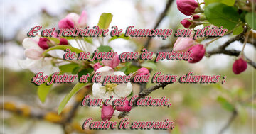 Aperçu de la carte : « C'est restreindre son plaisir de ne jouir que du présent... »