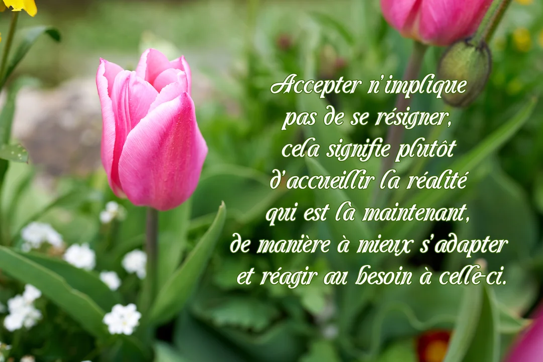Photographie d'une tulipe rose vif au premier plan, avec un texte de citation superposé sur un fond de jardin vert et flou.