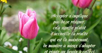 Aperçu de la carte : « Accepter n'implique pas de se résigner, mais d'accueillir la réalité pour mieux s'adapter... »