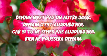 Aperçu de la carte : « Demain n'est pas un autre jour... car si tu ne sèmes pas aujourd'hui... »