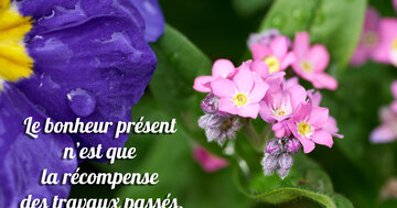 Aperçu de la carte : Le bonheur présent 
n'est que 
la récompense 
des travaux passés.