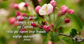 « Le plus grand obstacle à la vie est l'attente... »