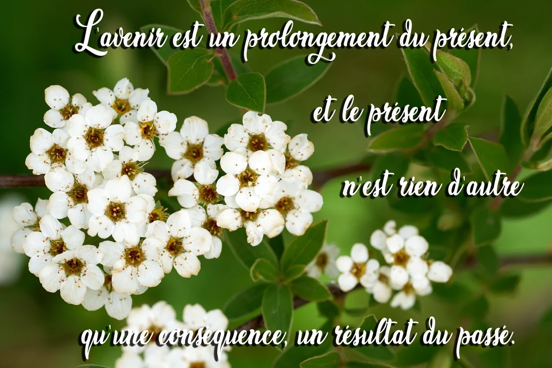 Photographie en gros plan de grappes de petites fleurs blanches sur une branche, avec un texte calligraphié superposé sur un fond végétal vert.
