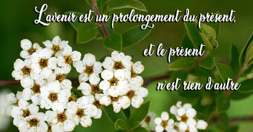 Aperçu de la carte : « L'avenir est un prolongement du présent, conséquence du passé... »